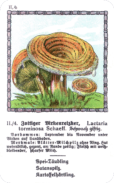 Spielkarte