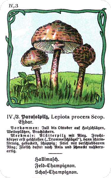 Spielkarte