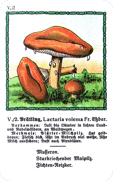 Spielkarte