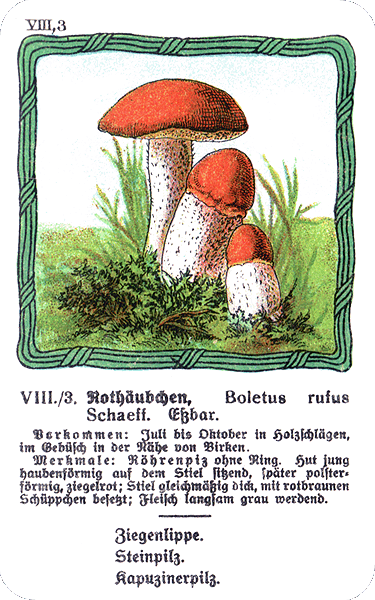 Spielkarte