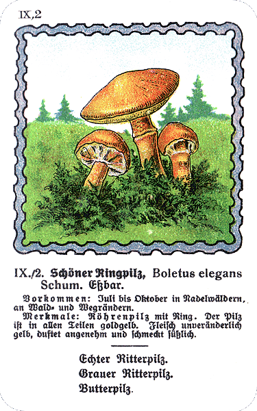 Spielkarte