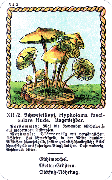 Spielkarte