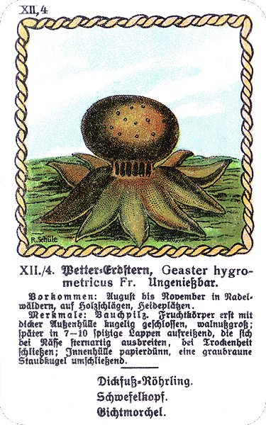 Spielkarte