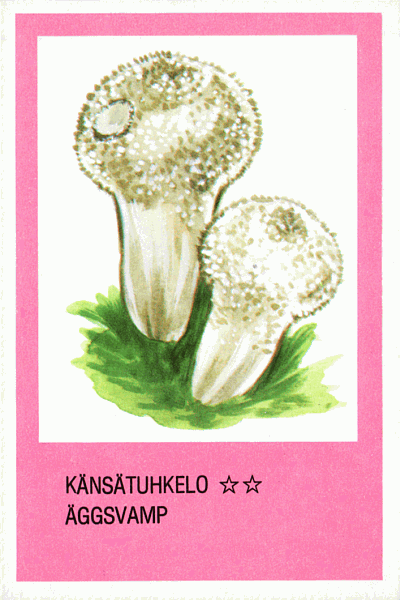 Spielkarte
