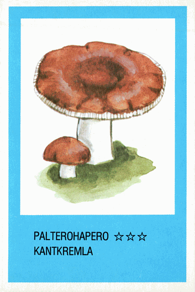 Spielkarte