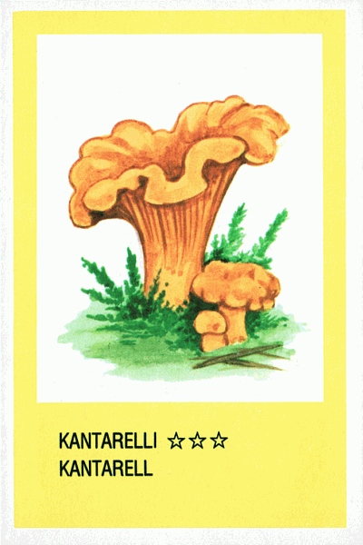Spielkarte