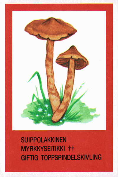 Spielkarte