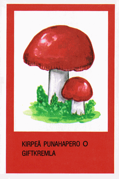 Spielkarte