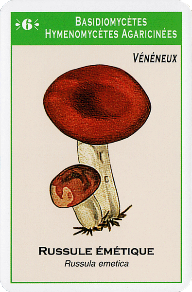 Spielkarte
