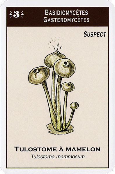 Spielkarte