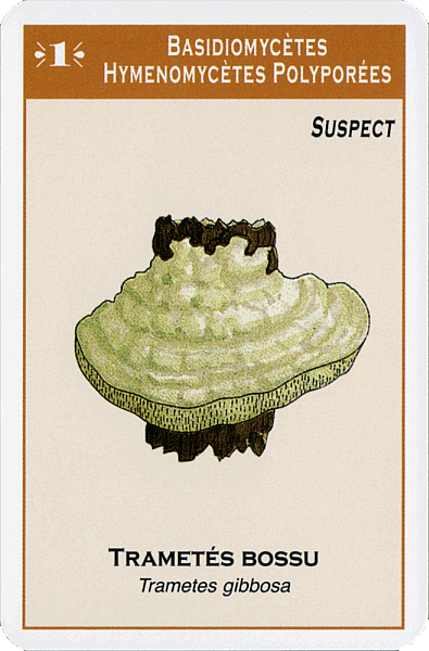 Spielkarte