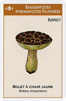 Spielkarte