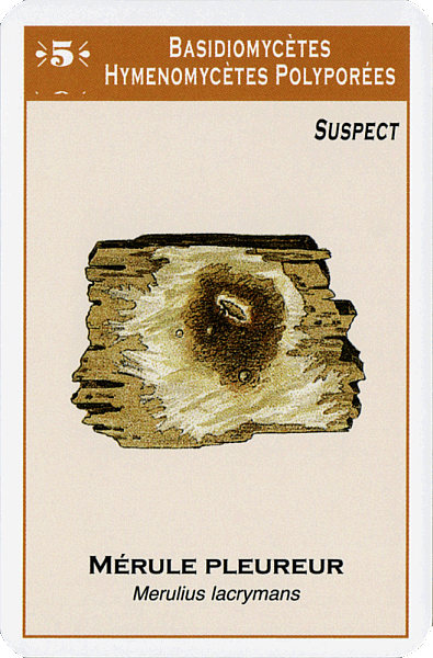 Spielkarte