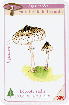 Spielkarte