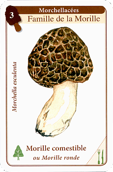 Spielkarte