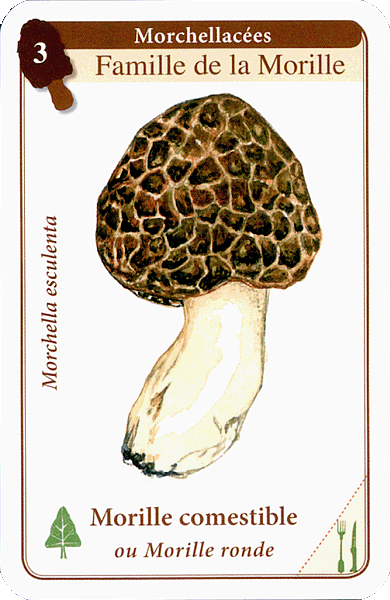 Spielkarte