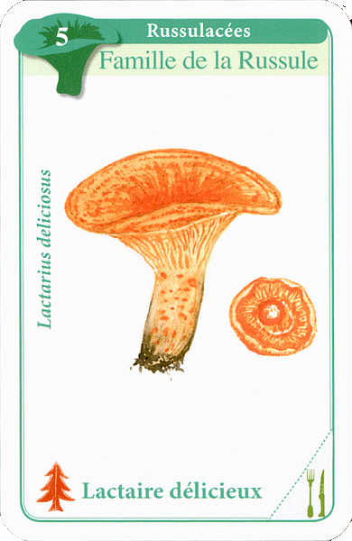 Spielkarte
