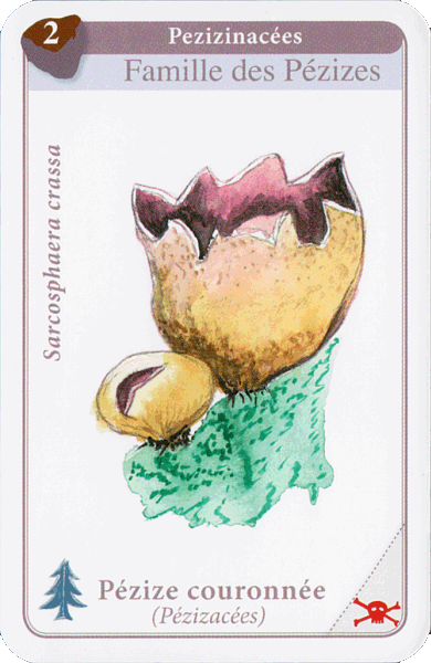 Spielkarte