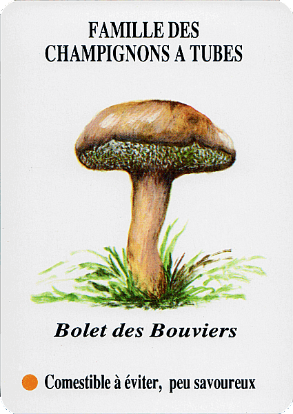 Spielkarte