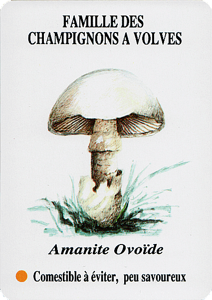 Spielkarte