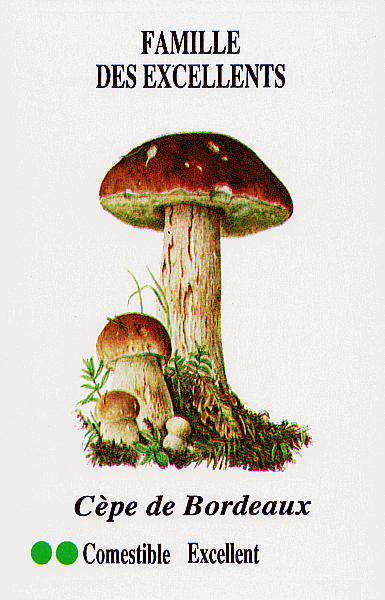 Spielkarte