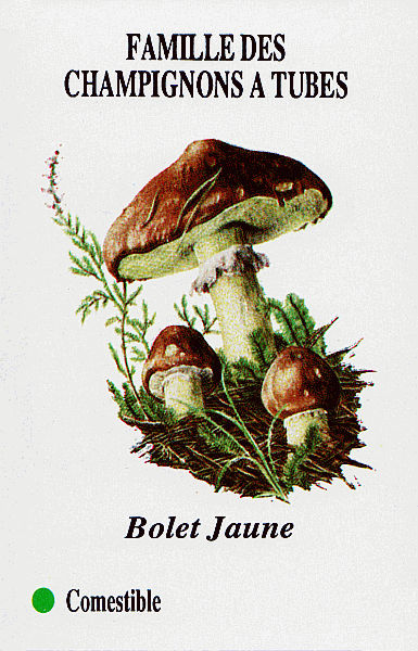Spielkarte