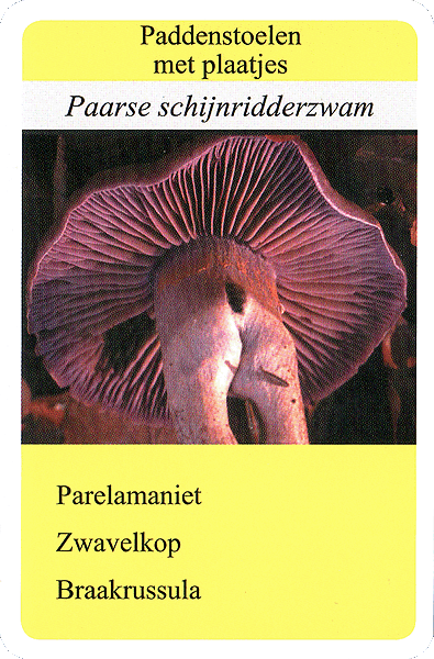 Spielkarte