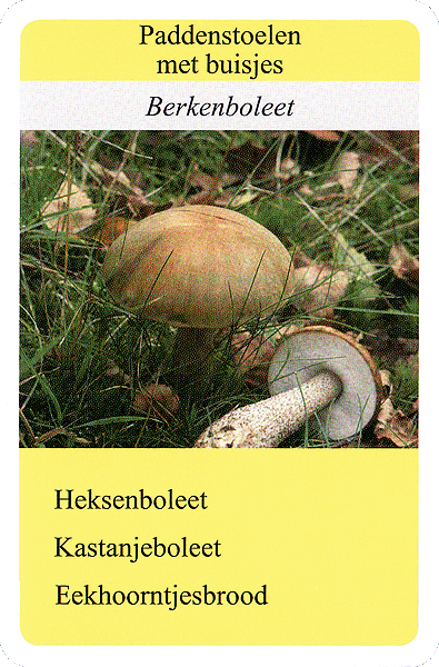 Spielkarte