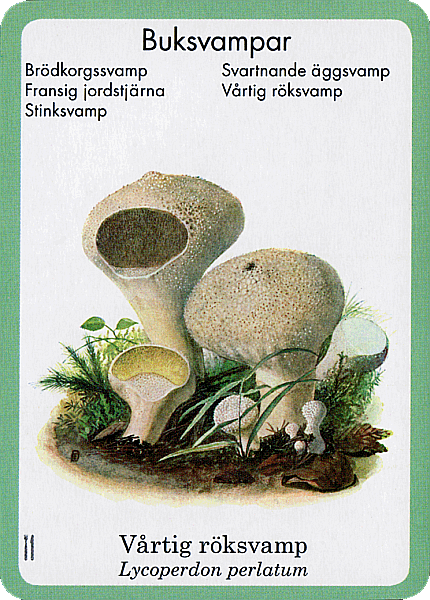 Spielkarte