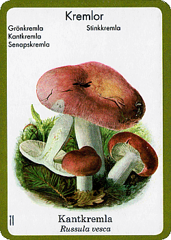 Spielkarte