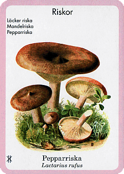 Spielkarte