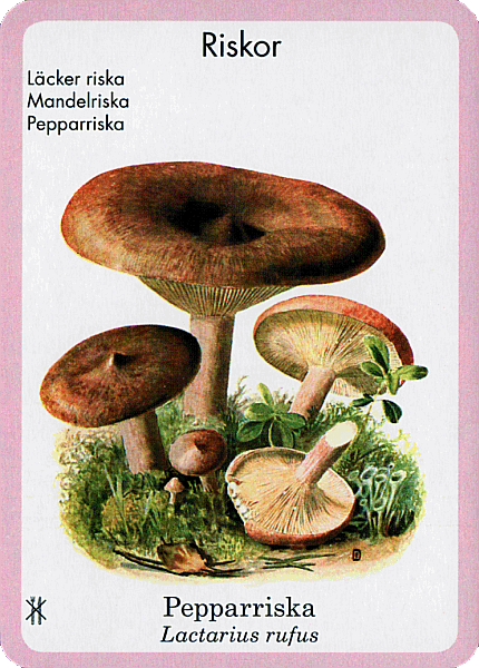 Spielkarte