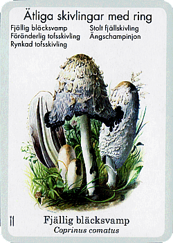 Spielkarte