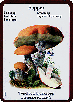 Spielkarte