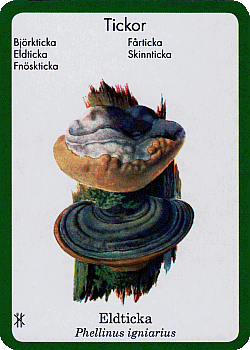 Spielkarte