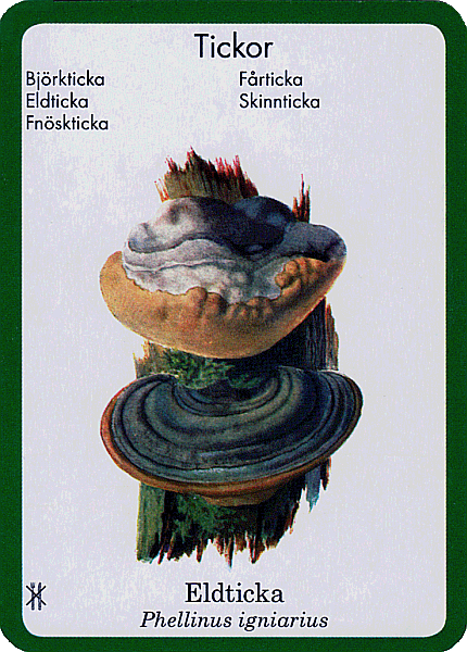 Spielkarte