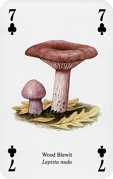Spielkarte