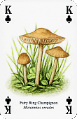 Spielkarte