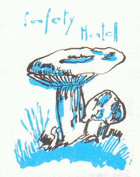 Z&uuml;ndholzetikett