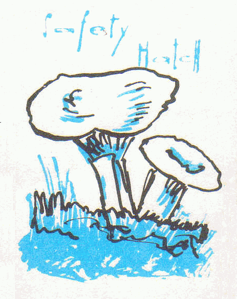 Z&uuml;ndholzetikett