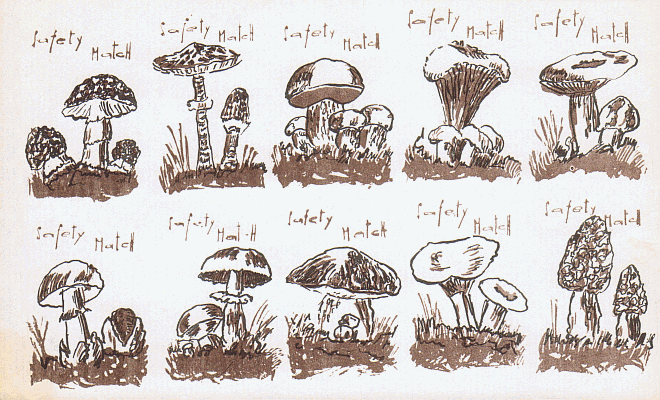 Z&uuml;ndholzetikett