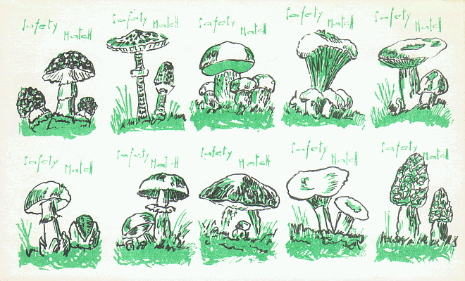 Z&uuml;ndholzetikett