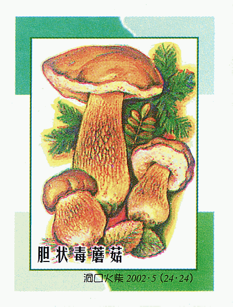 Z&uuml;ndholzetikett