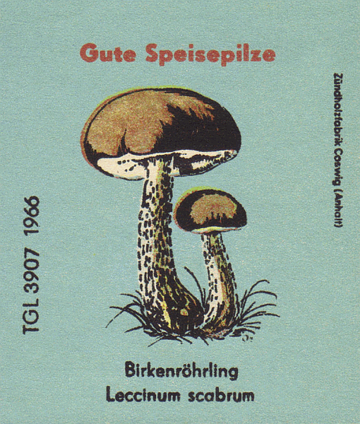 Z&uuml;ndholzetikett