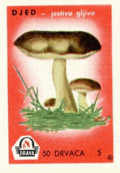 Z&uuml;ndholzetikett