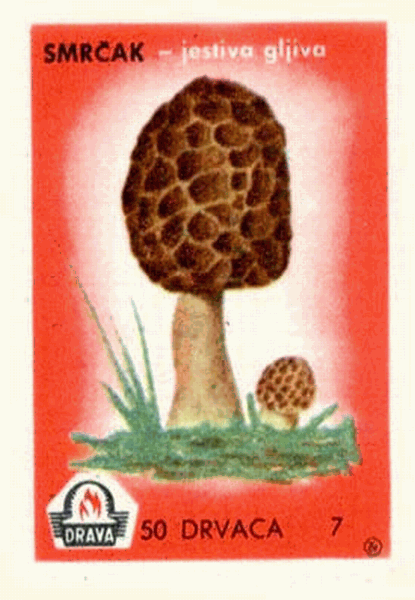 Z&uuml;ndholzetikett