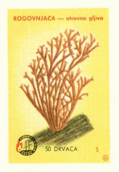Z&uuml;ndholzetikett