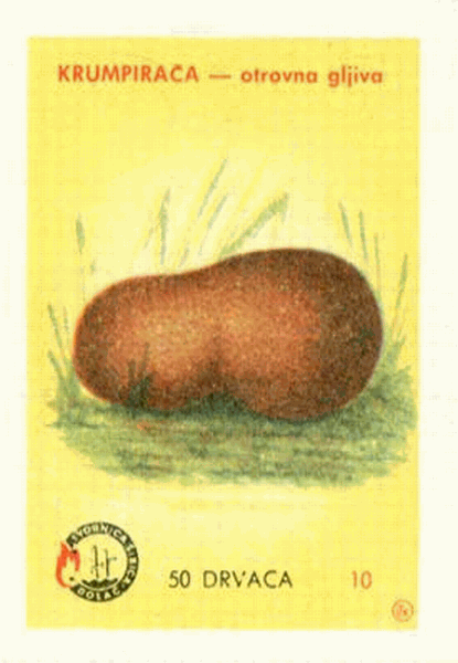 Z&uuml;ndholzetikett