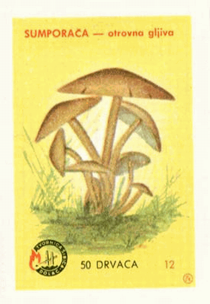 Z&uuml;ndholzetikett