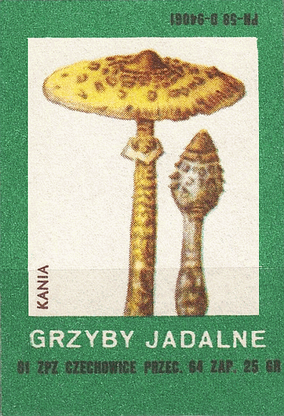 Z&uuml;ndholzetikett